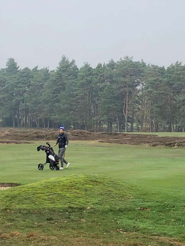 f3e95f5f-ea4e-4684-914d-f56a34fa5cf8